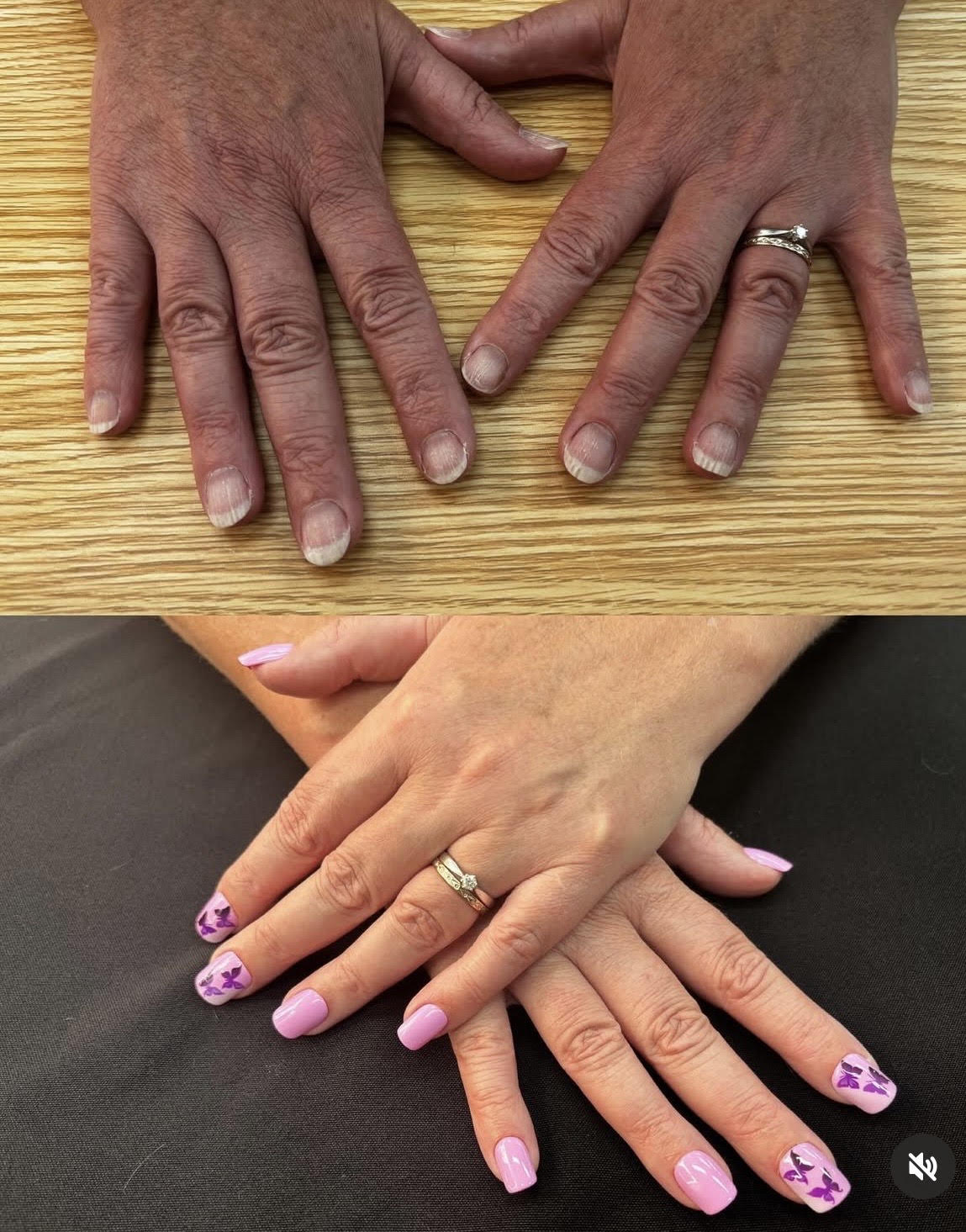 Set "JARDIN DE PAPILLONS"